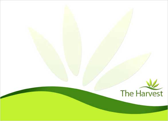 The Harvest LLC